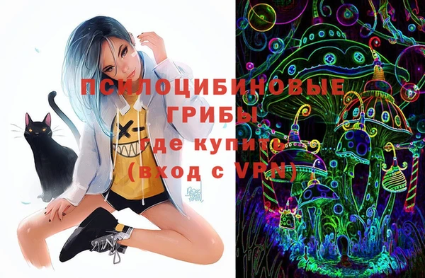 шишки Балабаново