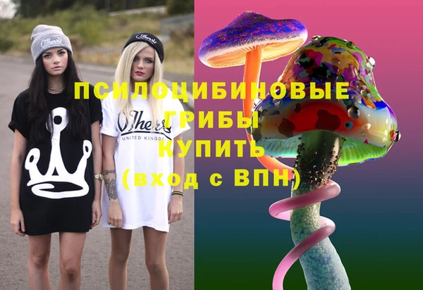 амф Балахна