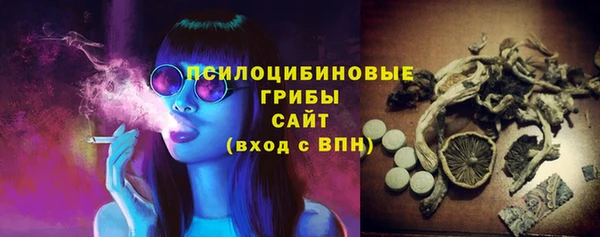 амф Балахна