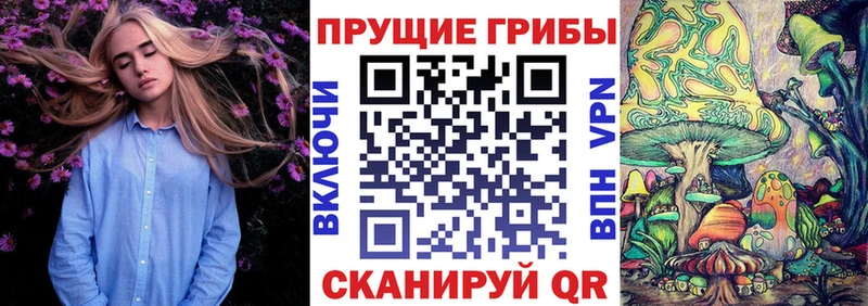Галлюциногенные грибы Psilocybine cubensis  закладка  Красновишерск 